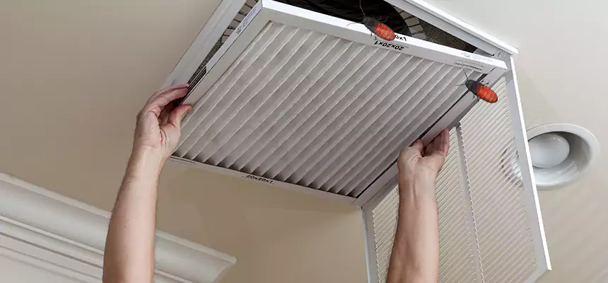 Preventive Cockroach-Proofing for Ducts in Coram