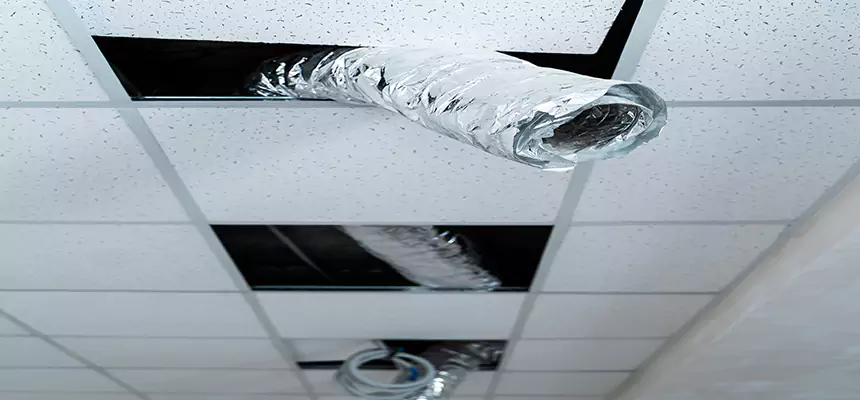 Affordable HVAC Sanitizing After Pest Removal in Coram