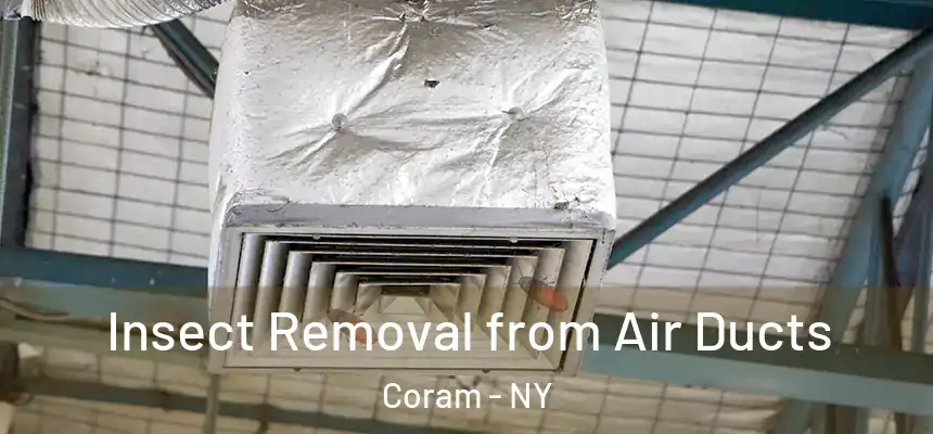  Insect Removal from Air Ducts Coram - NY