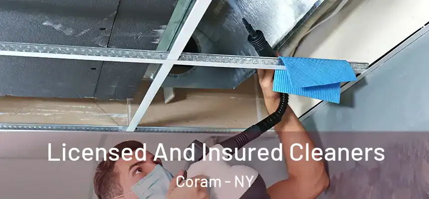  Licensed And Insured Cleaners Coram - NY