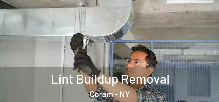 Lint Buildup Removal Coram - NY