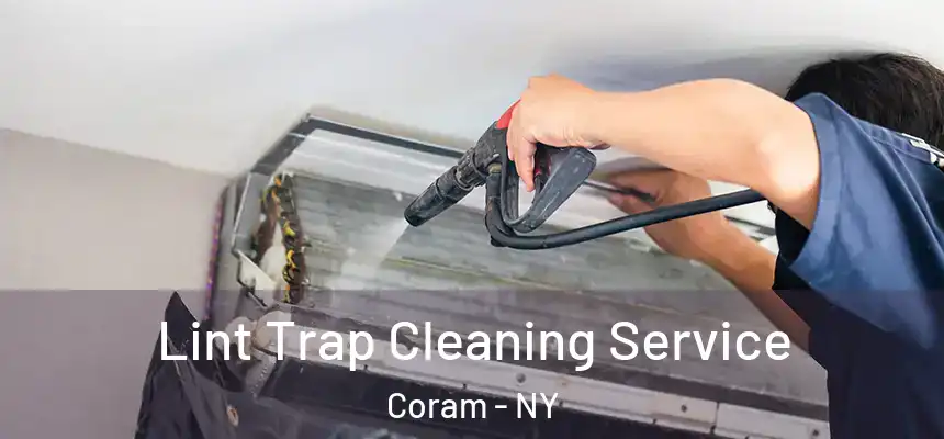  Lint Trap Cleaning Service Coram - NY