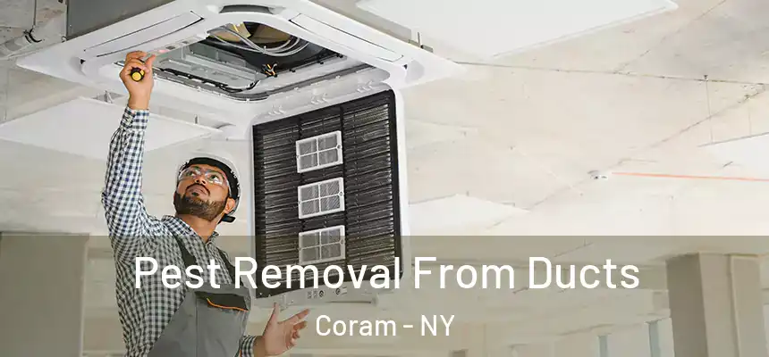 Pest Removal From Ducts Coram - NY