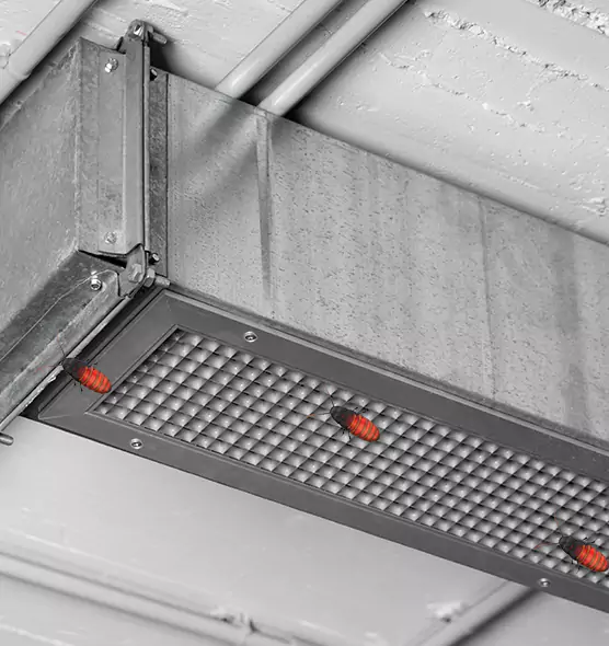 About Air Duct Cockroach Removal in Coram, NY