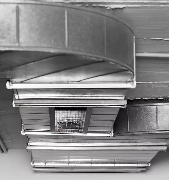 Professional Air Duct Pest Removal in Coram, NY