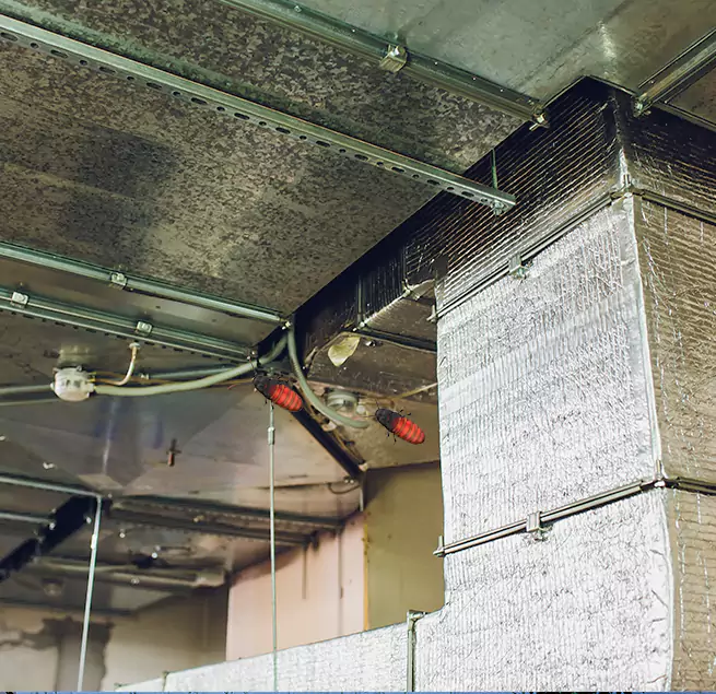 Why Homeowners & Businesses Trust Us in Coram, NY?