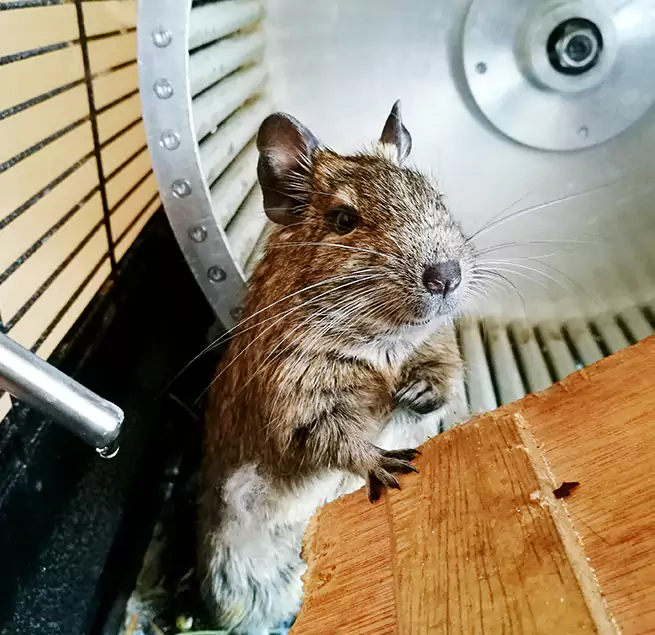 Why Homeowners & Businesses Trust Us Coram, NY