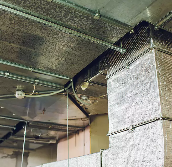 Why Homeowners & Businesses Trust Us in Coram, NY?